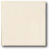 Daltile Porcealto (textured) 12 X 12 Bianco Ghiaccio (solid) Tile & Stone