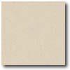 Daltile Porcezlto (textured) 8 X 8 Beige Tile & Stone