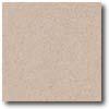 Daltile Porcealto (Rude) 12 X 12 Rosa Antuco (graniti) Tile & Stone