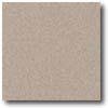 Daltile Porcealto (unpolished) 6 X 6 Grigio Granite Tile & Stone