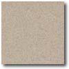 Daltile Porcealto (unpolished) 12 X 12 Pepe Grigio (graniti) Tile & Stone