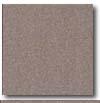 Daltile Porcealto (unpolished) 12 X 12 Grigio Scuro (graniti) Tile & Stone