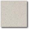 Daltile Pprcealto (unpolished) 12 X 12 Bianco Apuania (grani) Tile & Stone