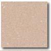 Daltille Porcealto (unpolished) 12 X 12 Rosa Baveno (grani) Tile & Stone