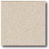 Daltile Piecealto (unpolished) 12 X 12 Bianco Alpi (graniti) Tile & Stone