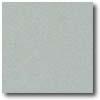 Daltile Porcealto (unpolished) 12 X 12 Verde Lago (graniti) Tile & Stone