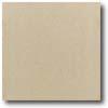 Daltile Quarey Textures 8 X 8 Desert Tan Tile & Stone