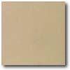 Daltile Quarry Tile Abrasive 6 X 6 Beige Tile & Stone