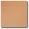 Daltile Quarry Tile Abrasiive 6 X 6 Golden Dune Tile & Stone