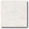 Daltile Scabos 12 X 12 Warm Gray Tile & Stone