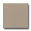 Daltile Semi-gloss 4 1/4 X 4 1/4 Uptown Taupe Tile & Stone