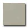 Daltile Seki-gloss 4 1/4 X 4 1/4 Architectural Gray Tile & Stone