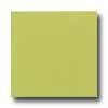 Daltile Semi-gloss 4 1/4 X 4 1/4 Key Lime Tile & Stone