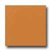 Daltile Semi-gloss 4 1/4 X 4 1/4 Pumpkin Spice Tile & Stone