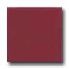 Daltile Semi-gloss 6 X 6 Chianti Tile & Stone