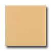 Daltile Semi-gloss 6 X 6 Luminnary Gold Tile & Stone