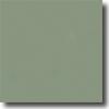 Daltile Semi-gloss 6 X 6 Cypress Tile & Stone