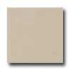 Daltile Semi-glosq 6 X 6 Urban Ptty Tile & Face with ~