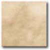 Daltile Sierra 12 X 12 Aspen Tile & Stone