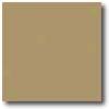 Daltile Suretread & Pavers 6 X 6 Golden Brown Paver Tile & Stone