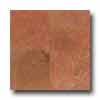 Daltile Travertine Natural Stone Honed 12 X 12 Bandar Red Tile & Stone