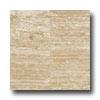 Daltile Travertine Natural Stone Polished 12 X12 Roman Travertine Tile & Stone