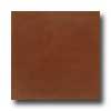 Daltile Veranda 20 X 20 Rectified Copper Tile & Stone