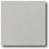 Daltile Vitrestone Select 12 X 12 Gray Granite Tile & Stone