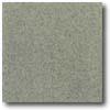 Daltile Vitrestone Select 12 X 12 Green Granite Tile & Stone