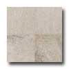 Daltile Willow Canyon 12 X 18 Cliffside Tile & Face with ~