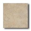 Del Cpnca Js 6 X 6 04 Tile & Stone