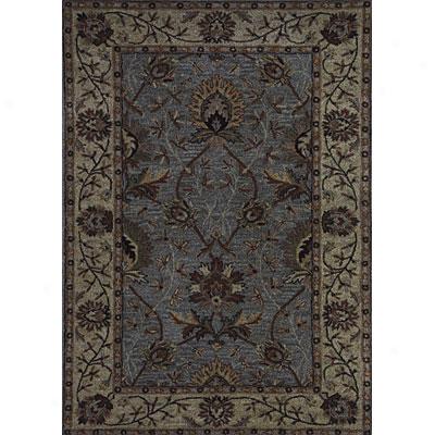 Dgnamic Rugs Splendor 8 X 11 Aqua Beige Area Rugs