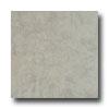 Earth Werks Aspen Aa804 Vinyl Flooring