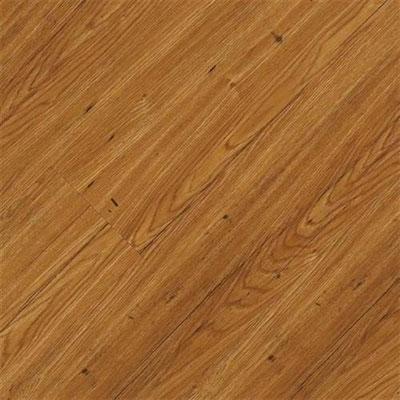 Earth Werks Montana Plank Gmp9925 Vinyl Flooring