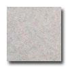 Earth Werks Venetian Stone 2202 Vinyl Flooring