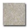 Soil Werks Venetian Stone 2203 Vinyl Flooring