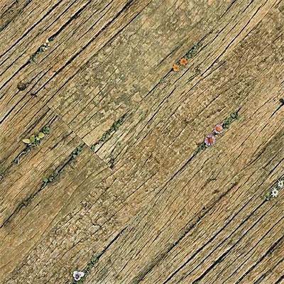 Earth Werks Vintage Floral Plank Vfp 4872 Vinyl Flooring