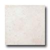 Ege Santa Barbara 18 X 18 White Tile & Stone