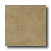 Eliane Athena 16 X 16 Gold Tile & Stone