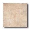 Eliane Njagra 12 X 12 Beige Tile & Stone