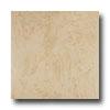 Emser Tile Agra 20 X 20 Cafe Tile & Stone