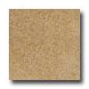 Emser Tile Aurora 20 X 20 Noce Tile & Stone