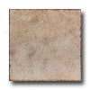 Emser Tile Avalon 12 X 12 Deserto Tile & Adamant