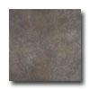 Emser Tile Cinque Terre 12 X 12 Rio Maggiore Tile & Stone