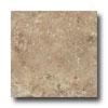 Emser Tile Emilia 12 X 12 Boiardo Tile & Stone