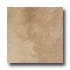 Emser Tile Lago 20 X 20 Natura Tile & Stone