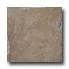 Emser Tile Natural 12 X 12 Forest Tile & Stone