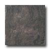 Emser Tile Natural 6 X 6 Steel Tile & Stone