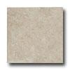 Emser Tile Pacific 6 X 6 Cream Tile & Stone