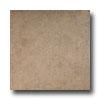 Emser Tile Padua 13 X 13 Tuscany Tile & Stone